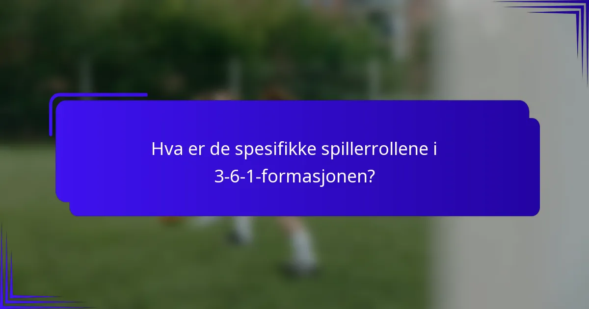 Hva er de spesifikke spillerrollene i 3-6-1-formasjonen?