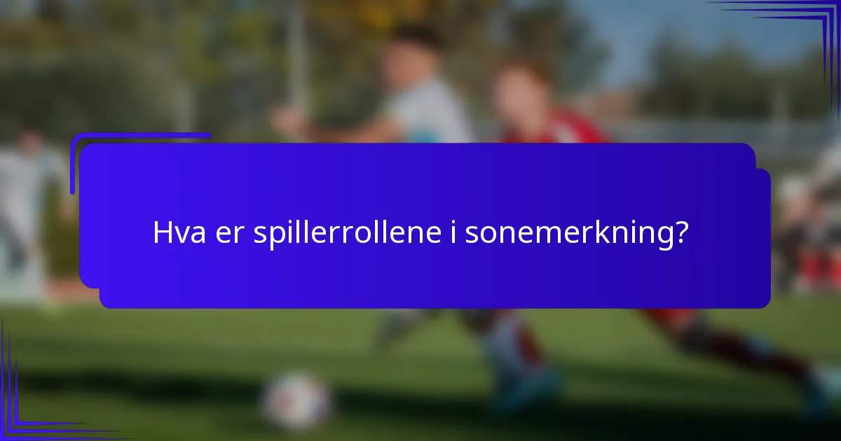 Hva er spillerrollene i sonemerkning?